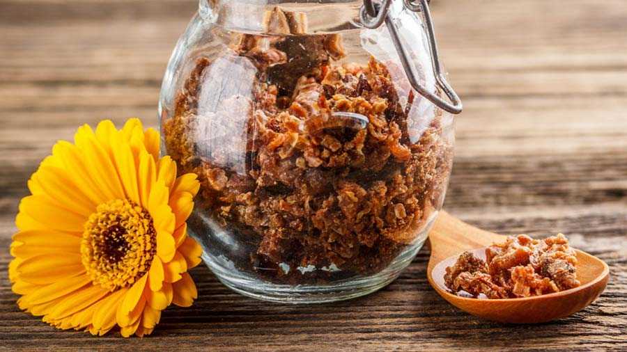 propolis, kit pszczeli